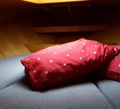 8Kooi-met-knuffel